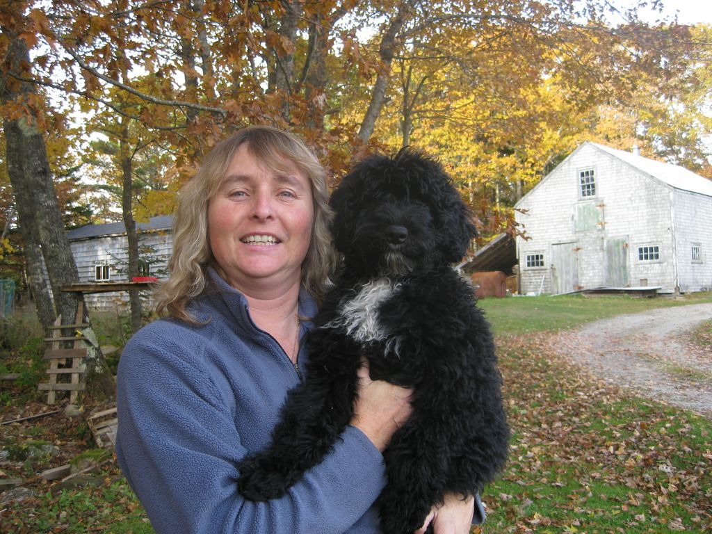 JanePups200x274 Specializing in Portuguese Water Dogs
