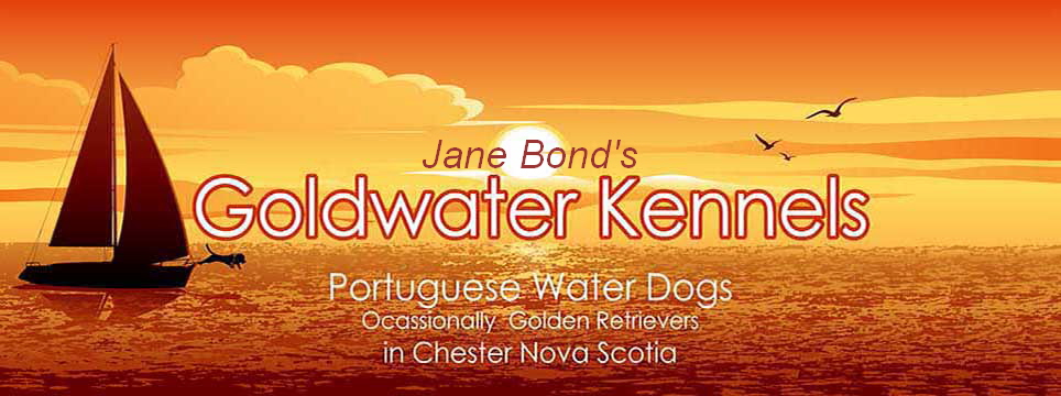 Goldwater Kennels Home Page Banner Specializing in Portuguese Water Dogs