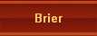 Brier