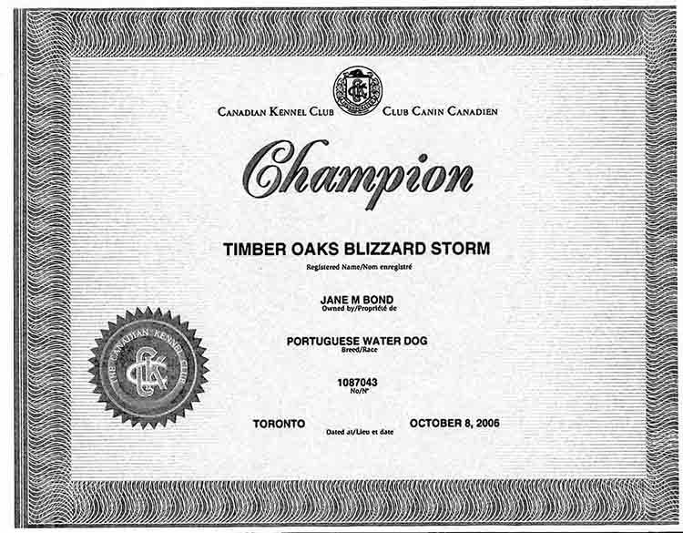 Blizzard Championship