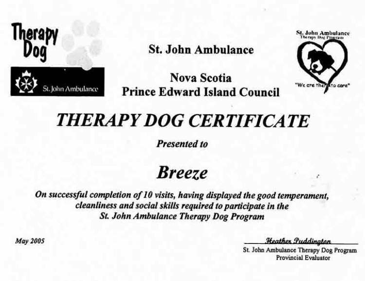 Breeze Therapy Dog