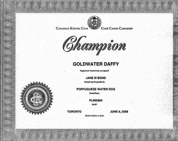 Daffy Champion