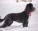 majic_8months_in-ontario